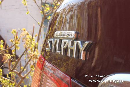 Nissan Bluebird Sylphy 1.8Vi 2WD АКПП 2001 г. Отзыв